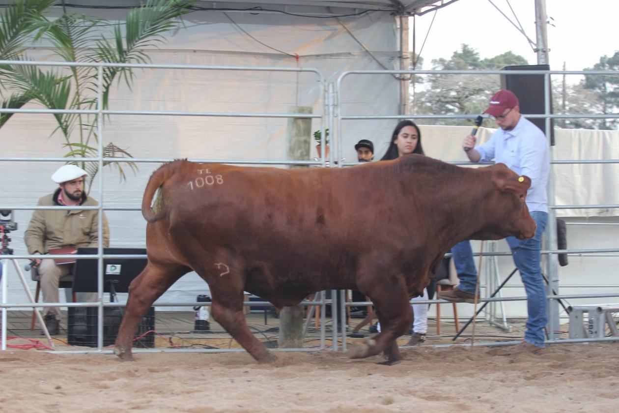 legacy-galeria-foto-347