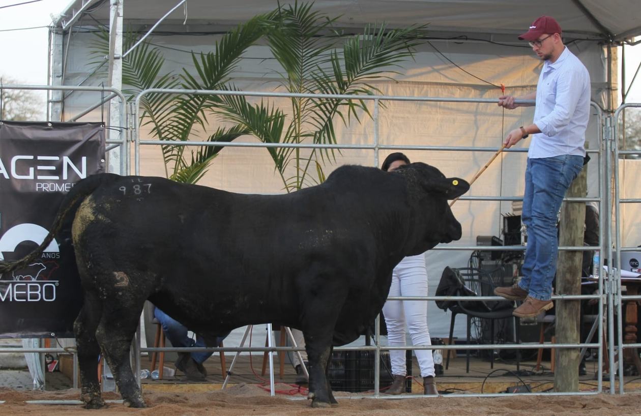 legacy-galeria-foto-350