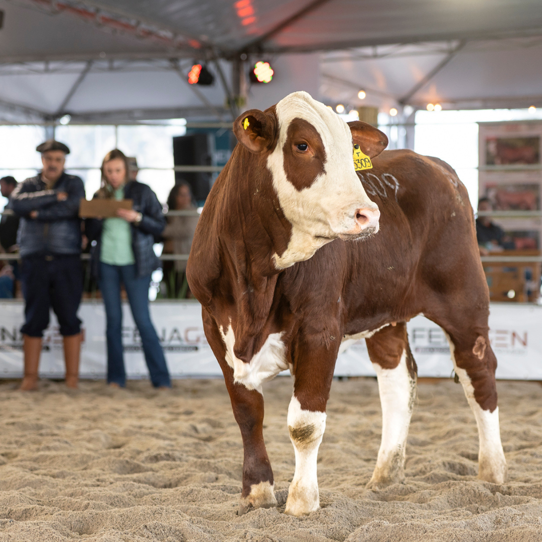 413