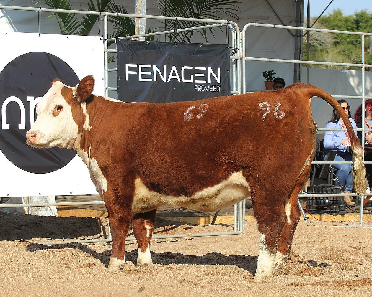 legacy-galeria-foto-473