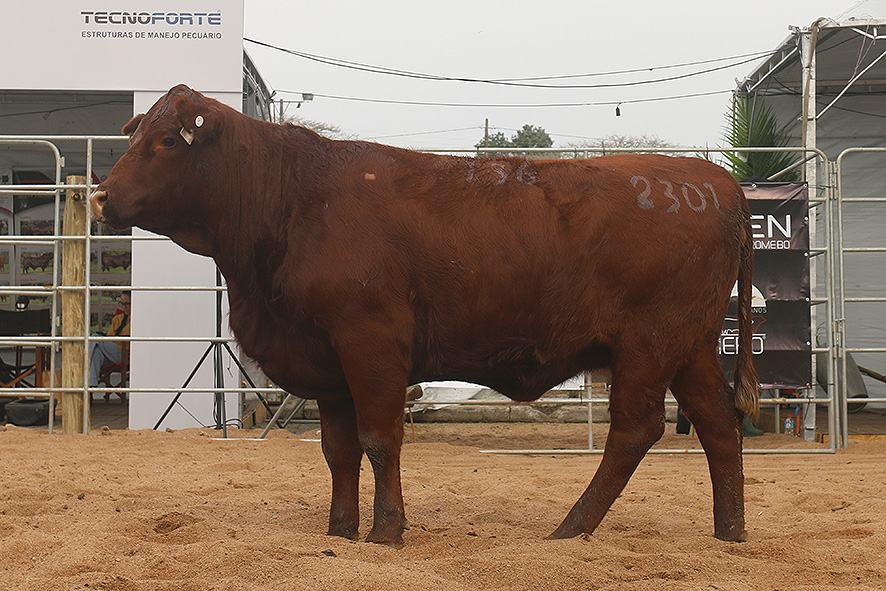 legacy-galeria-foto-492