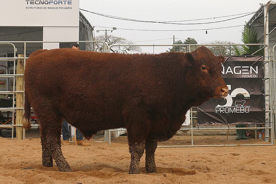legacy-galeria-foto-495
