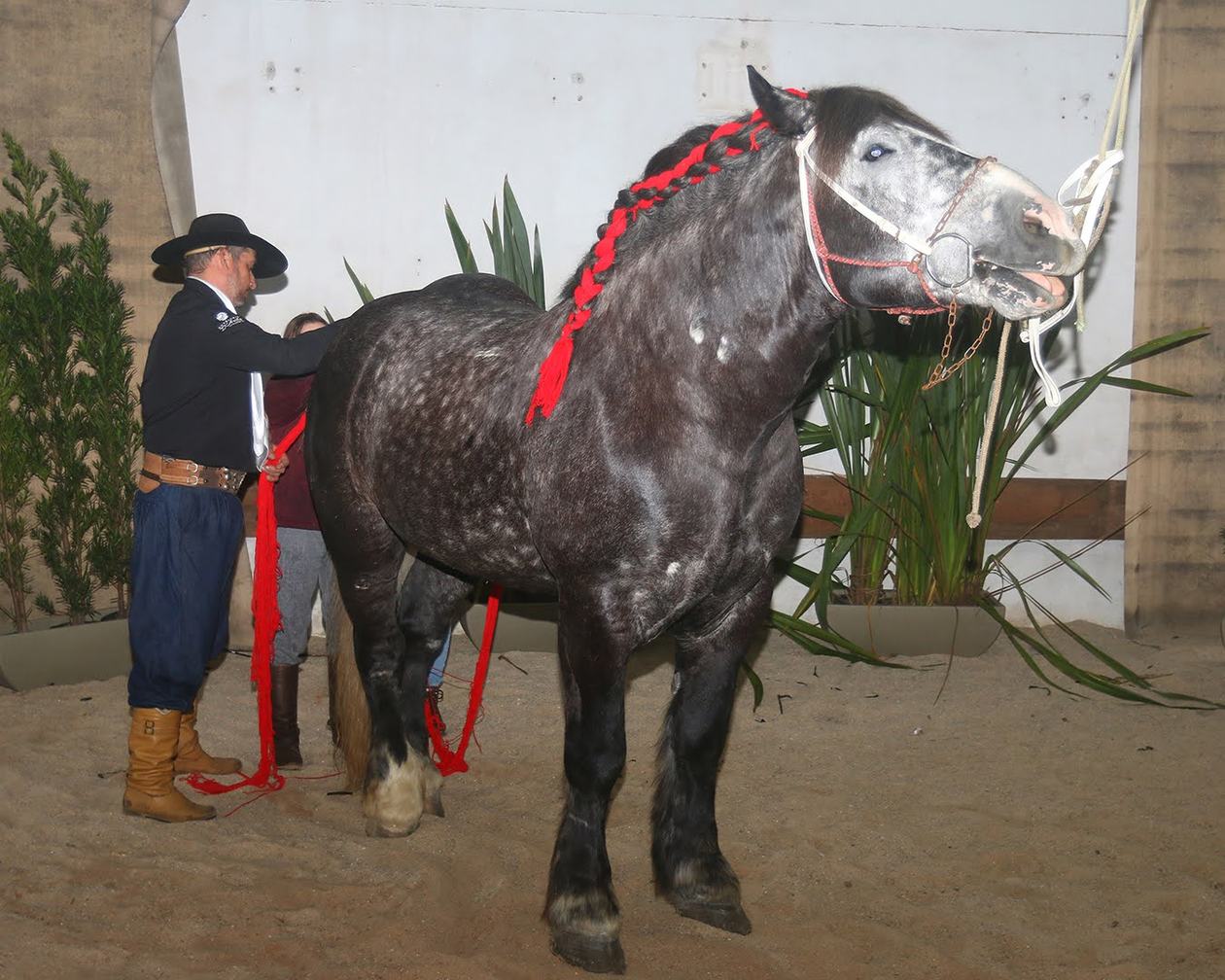 legacy-galeria-foto-510