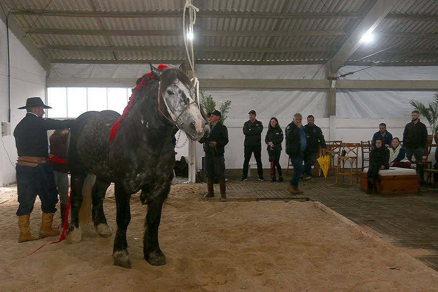 legacy-galeria-foto-511