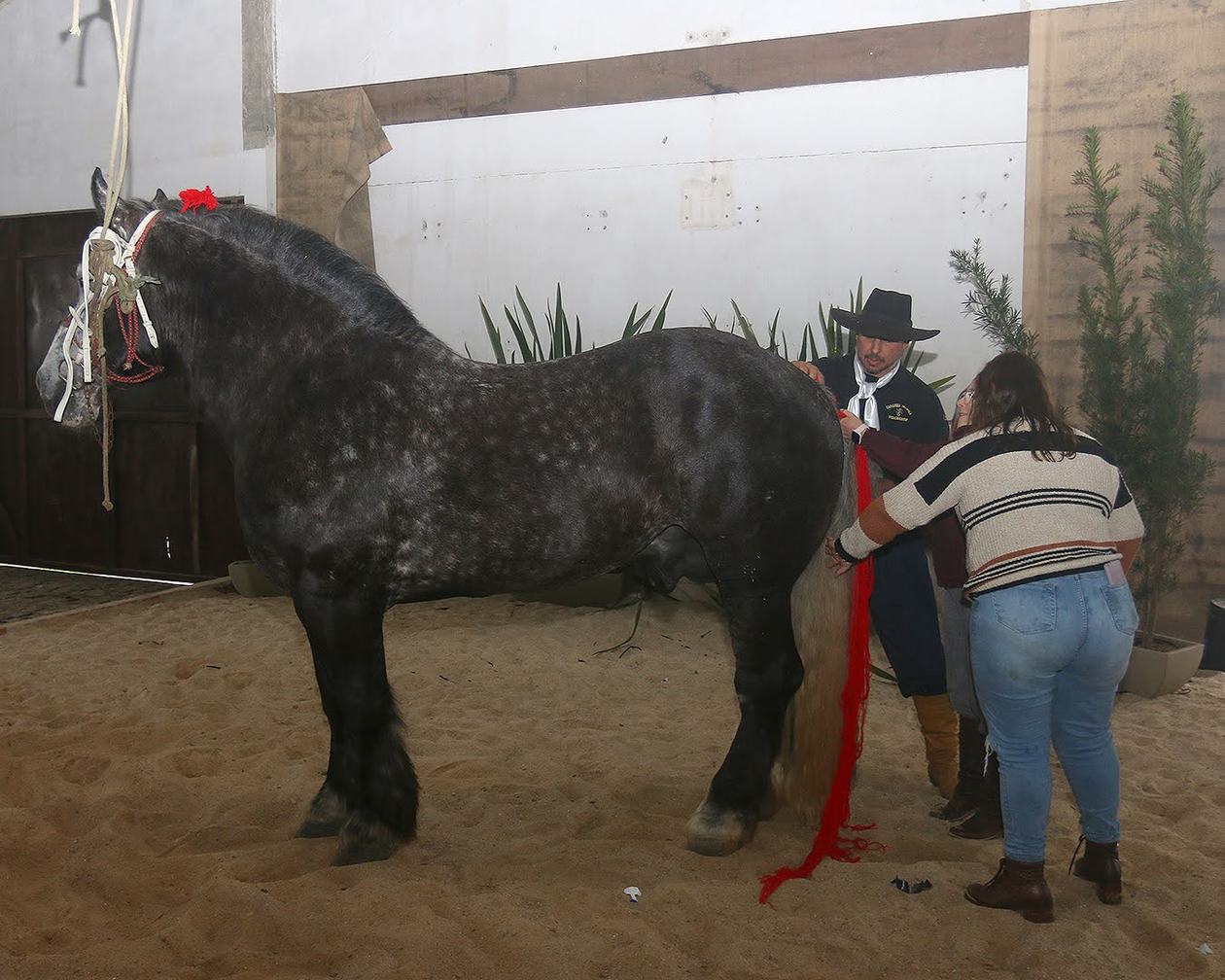 legacy-galeria-foto-512