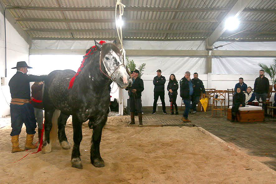 legacy-galeria-foto-623