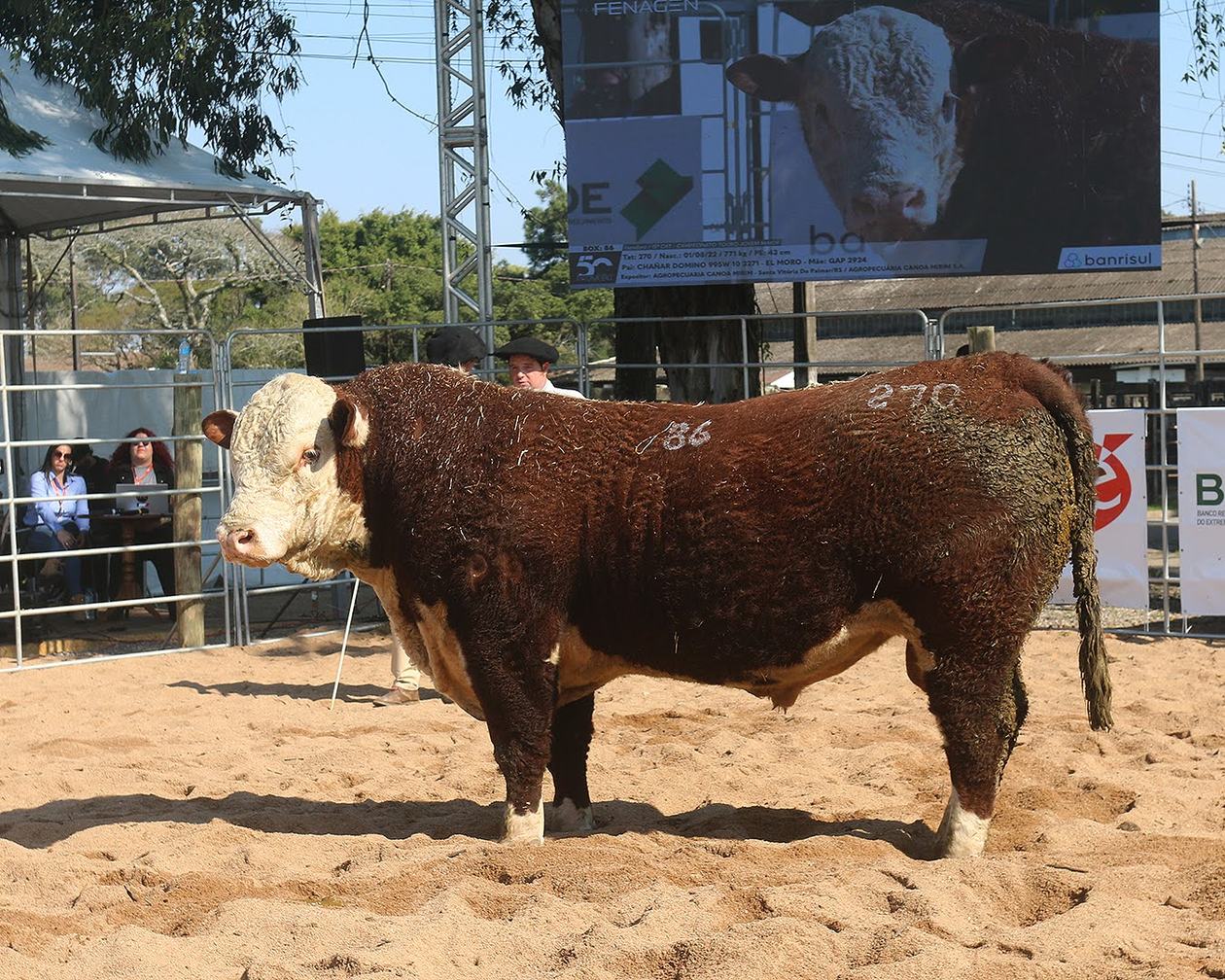 legacy-galeria-foto-856