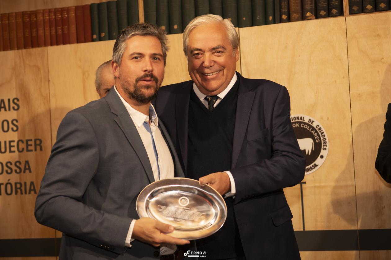 Fernovi116.jpg