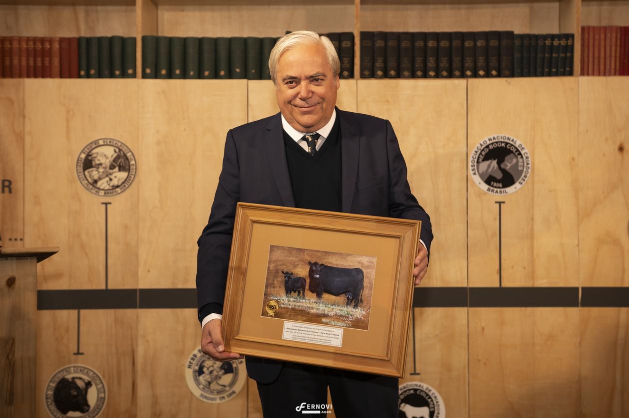 Fernovi167.jpg