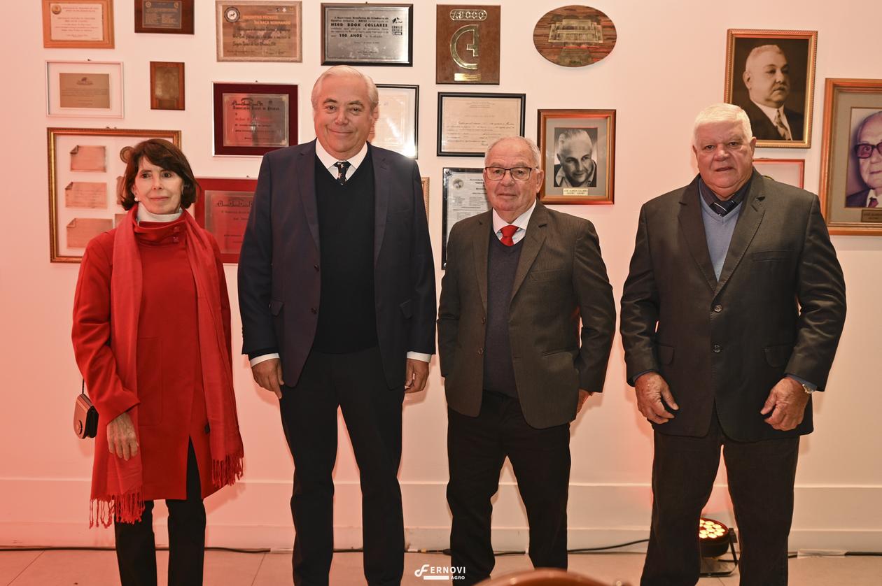 Fernovi28.jpg