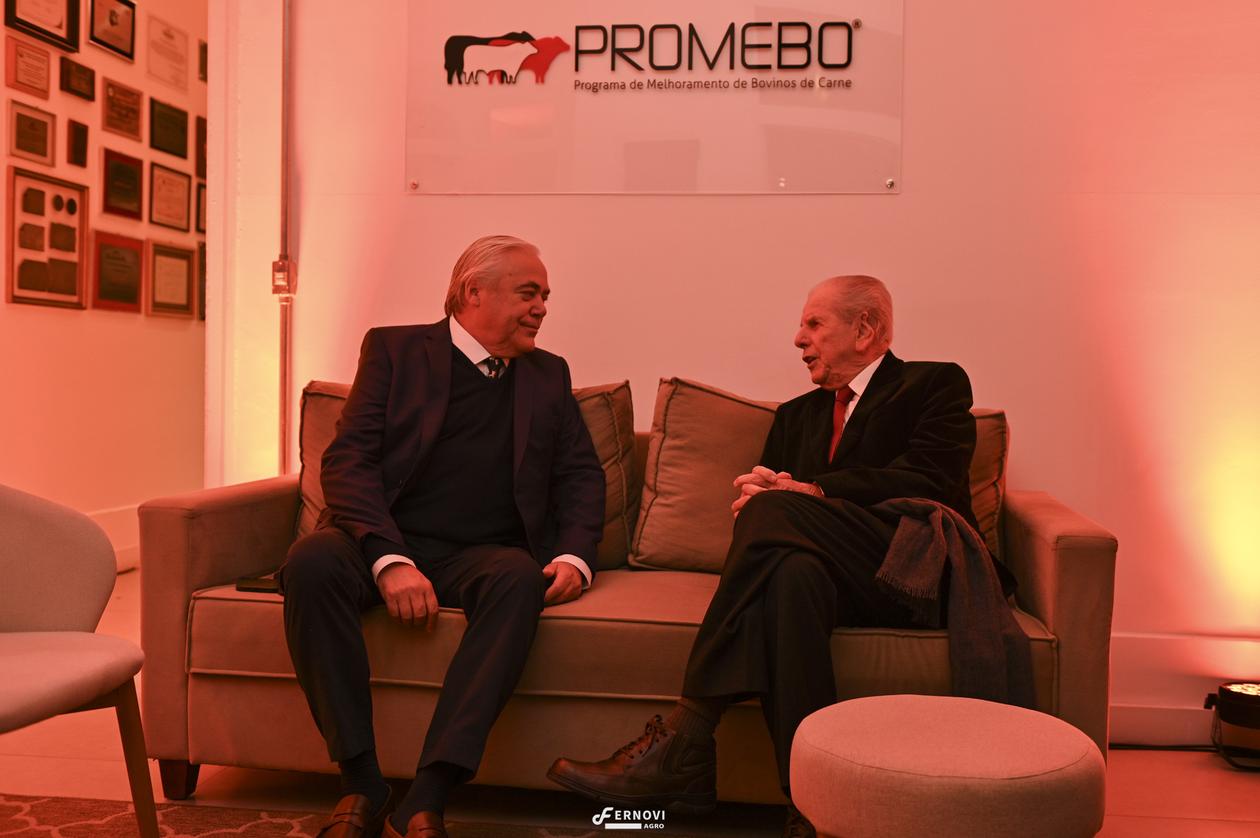Fernovi31.jpg