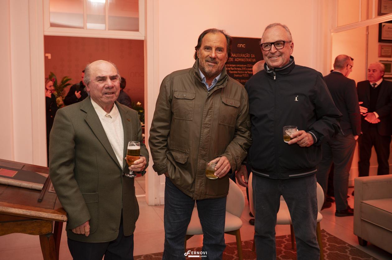 Fernovi36.jpg