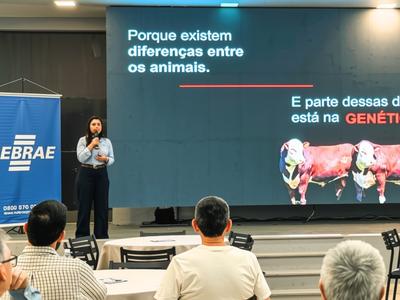 Escolha de reprodutores pode definir qualidade da carne antes do abate