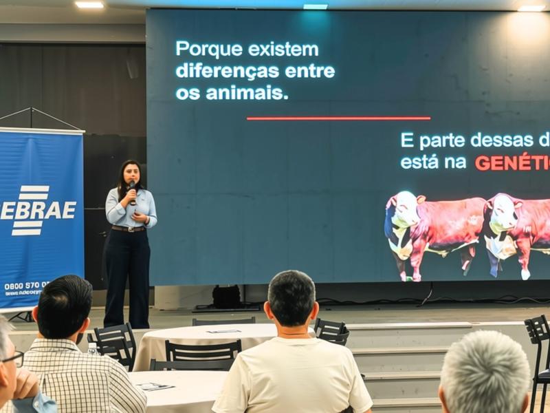 Escolha de reprodutores pode definir qualidade da carne antes do abate