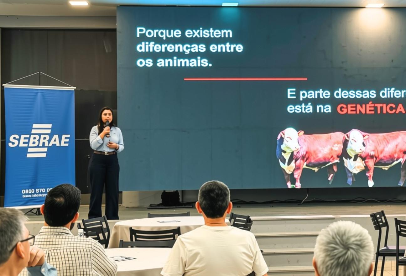Meet da Carne Paranavaí - Crédito Agência Crear Divulgação