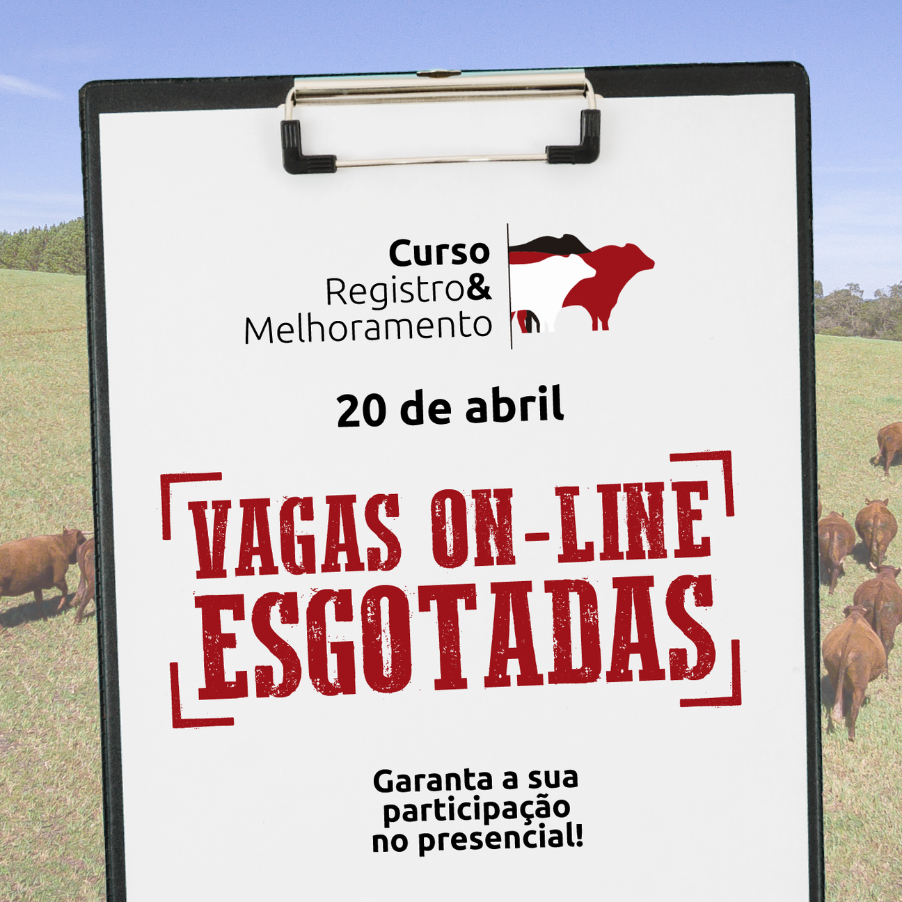 Esgotadas as inscrições para a modalidade on-line do Curso Registro&Melhoramento - Imagem