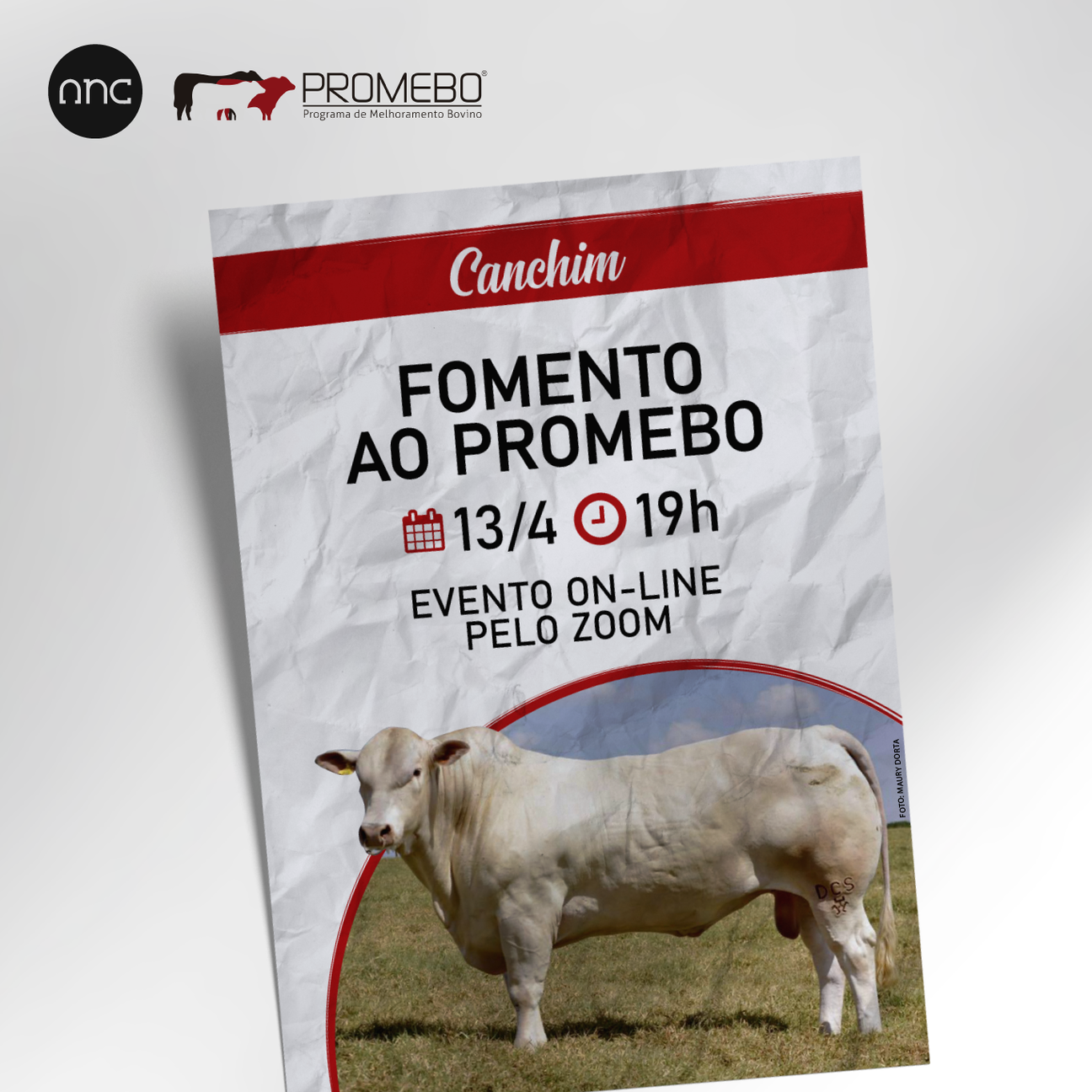 ANC realiza evento para o fomento do Promebo entre criadores de Canchim - Imagem