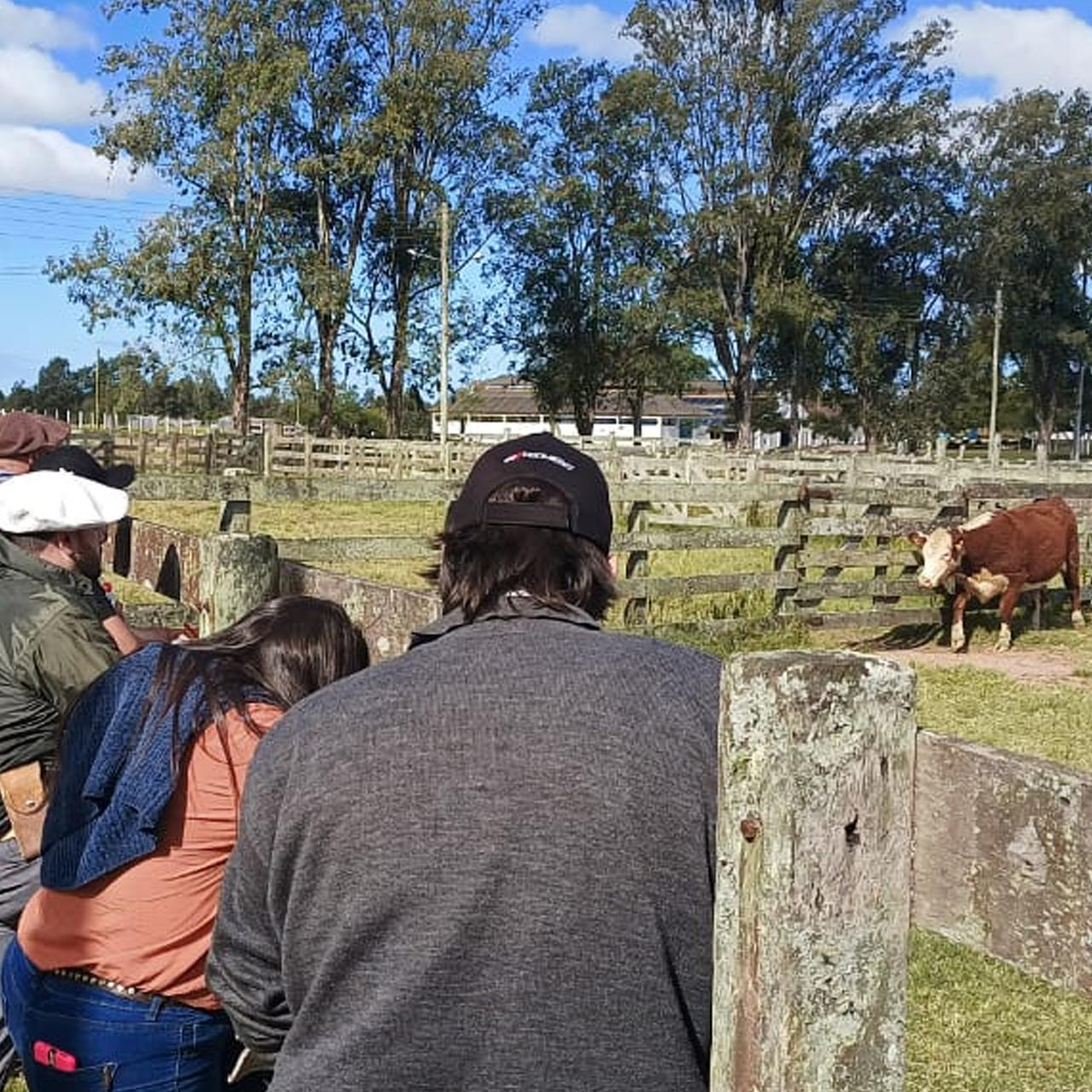 Avaliadores do Promebo participam de reciclagem em Arroio Grande (RS) - Imagem