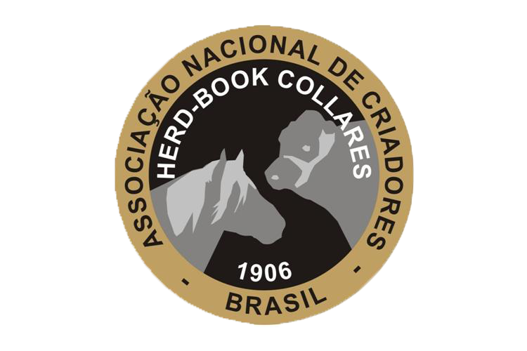 Nota de repúdio à interrupção do procedimento de embarque e exportação de animais vivos - Imagem