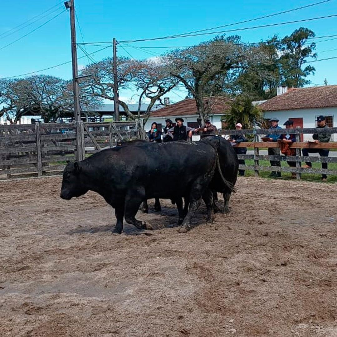 Análise de dados ganha força nos julgamentos - Imagem