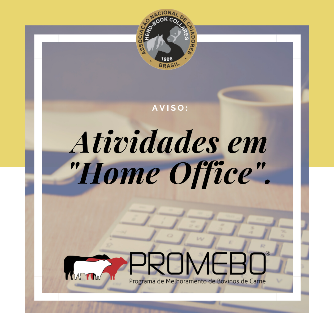 Informações sobre o atendimento da ANC/PROMEBO - Imagem