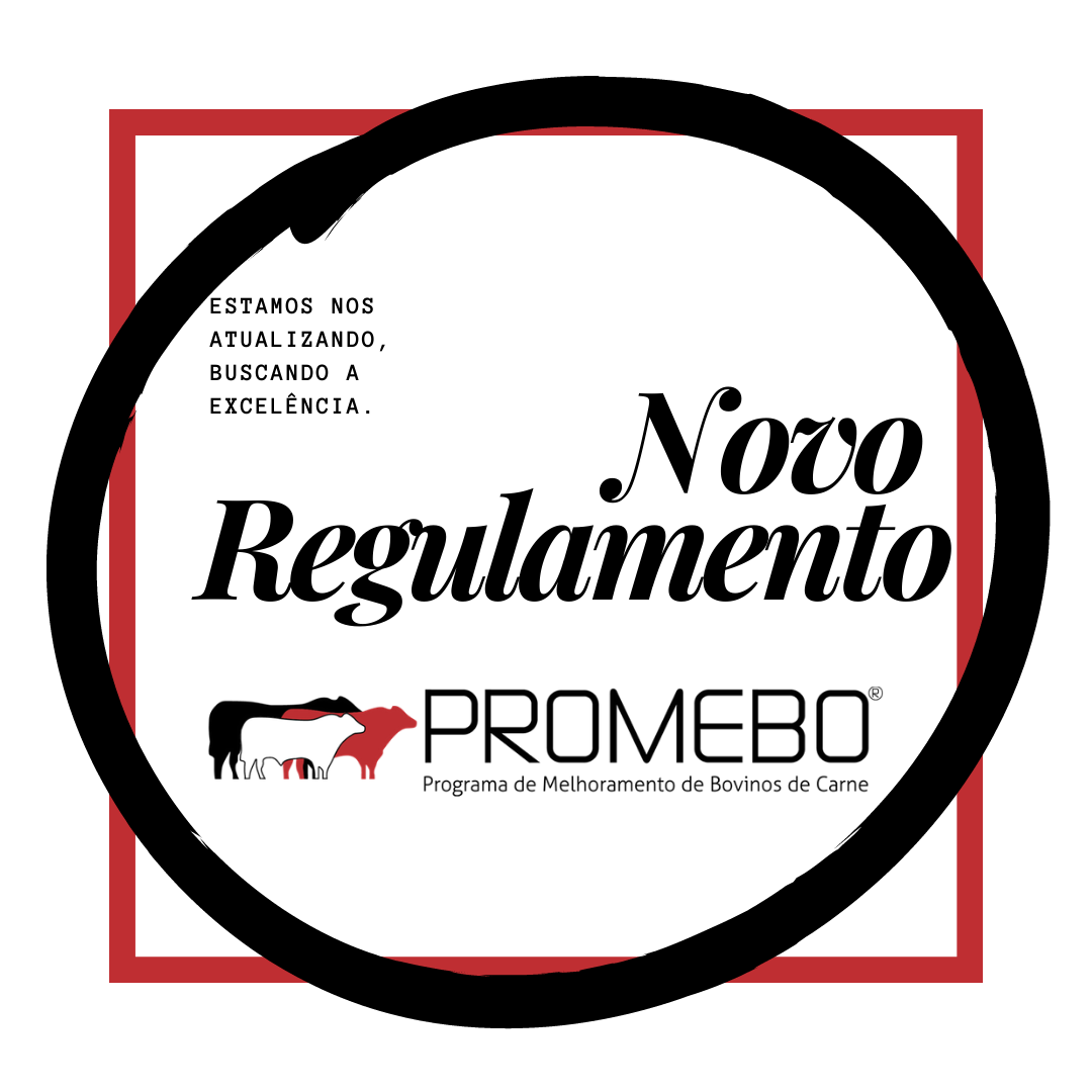 Lançamento do novo regulamento do PROMEBO - Imagem