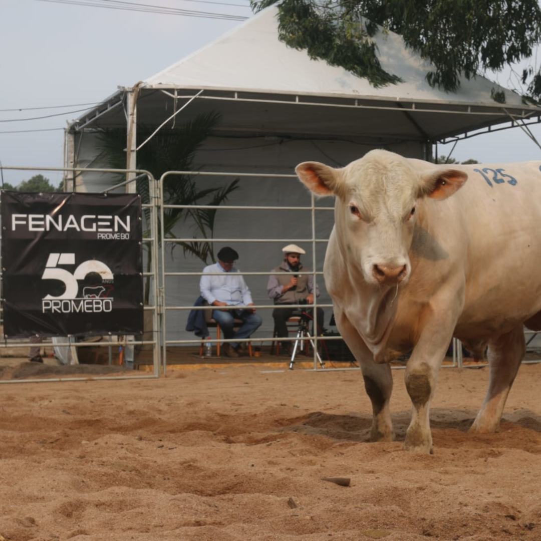 Fenagen Promebo registra 40% de aumento no número de inscrições - Imagem