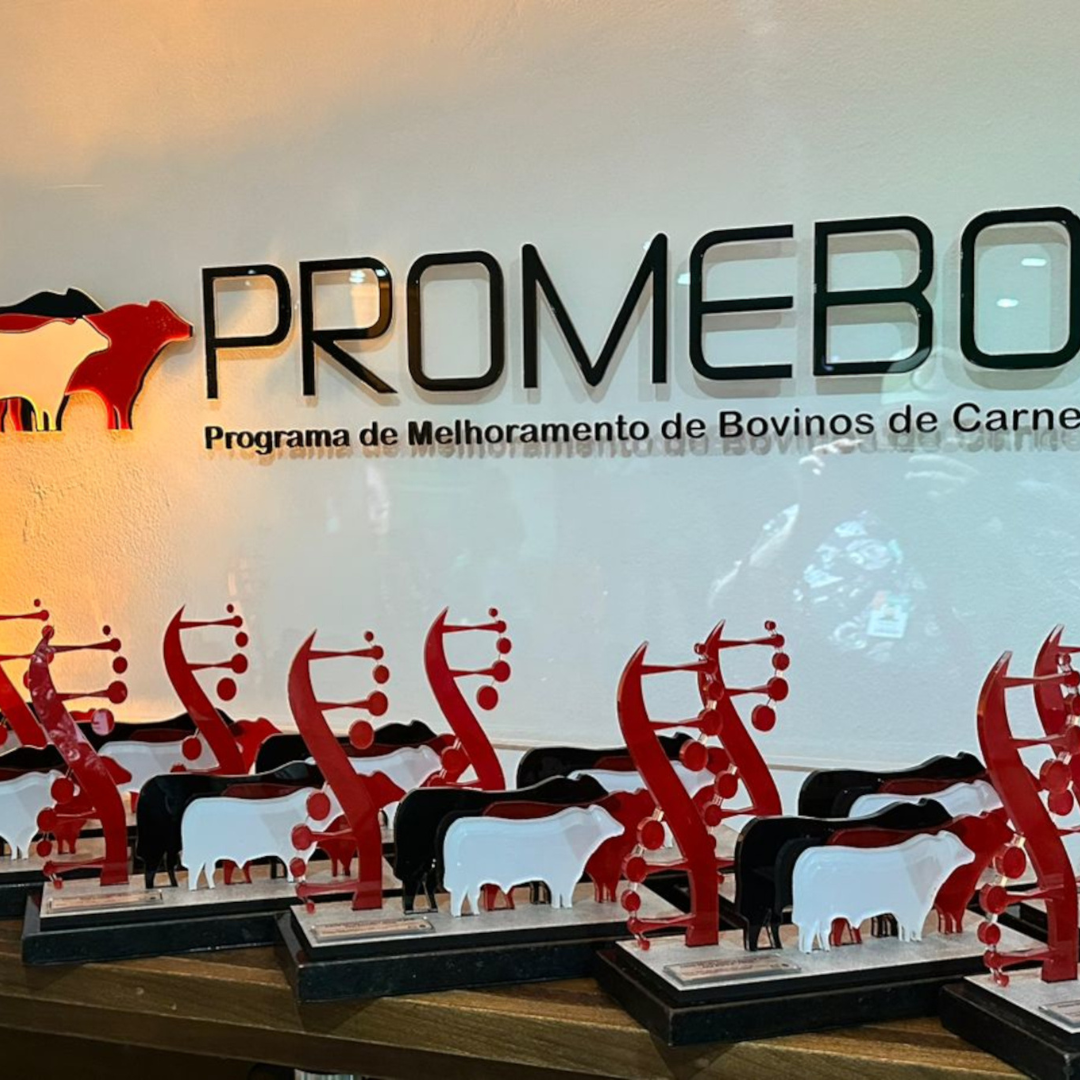 ANC entrega Prêmio Difusão Genética e destaca o melhoramento durante a Expointer - Imagem