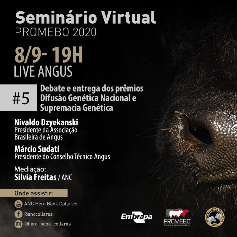 Angus participa de live promovida pela ANC no dia 8/9 - Imagem