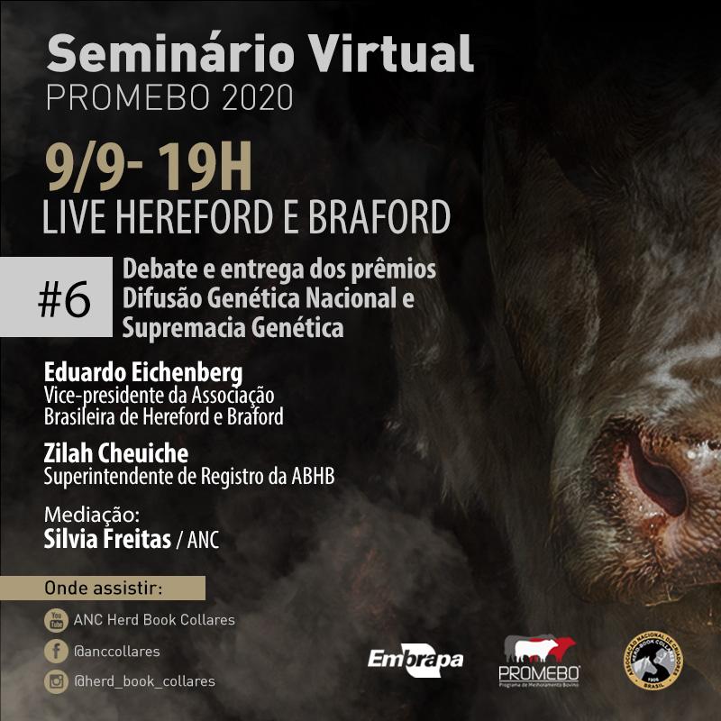 ANC premia criadores de Hereford e Braford - Imagem