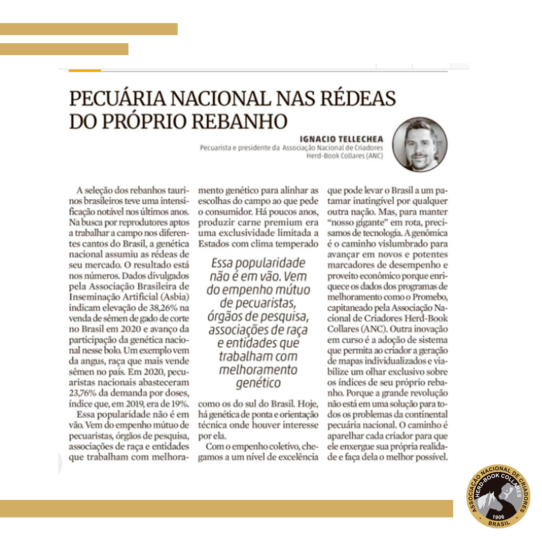 Pecuária nacional nas rédeas do próprio rebanho - Imagem