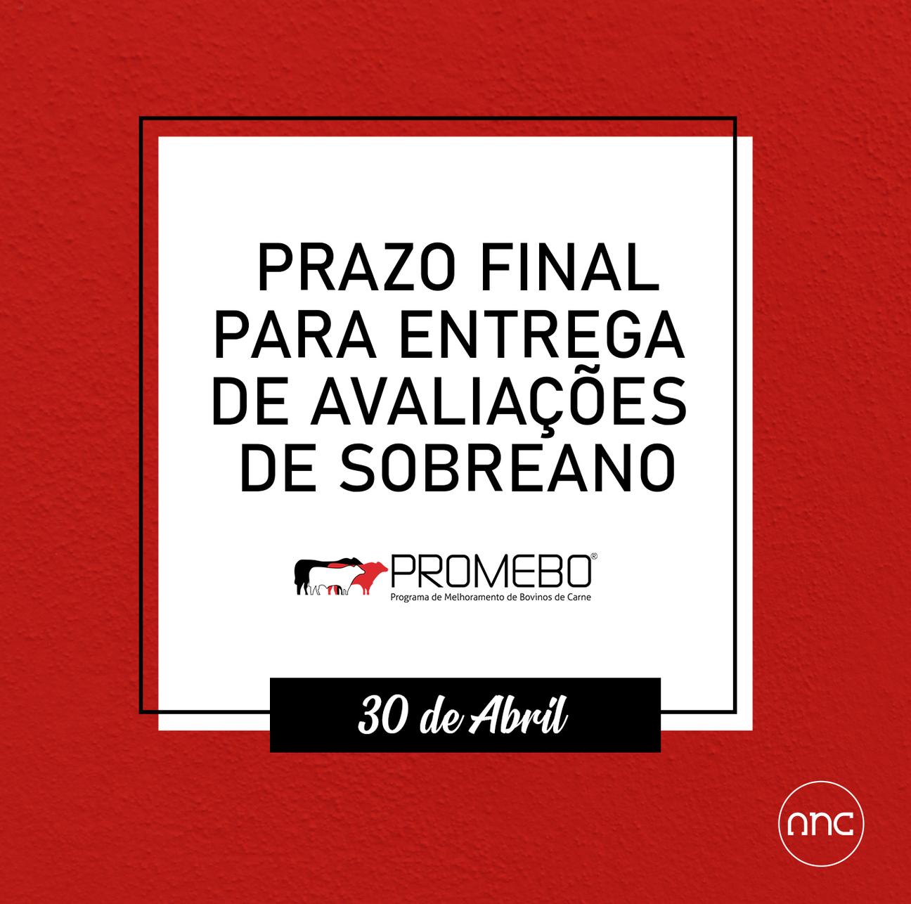 Avaliações de sobreano ao Promebo podem ser enviadas até 30 de abril - Imagem