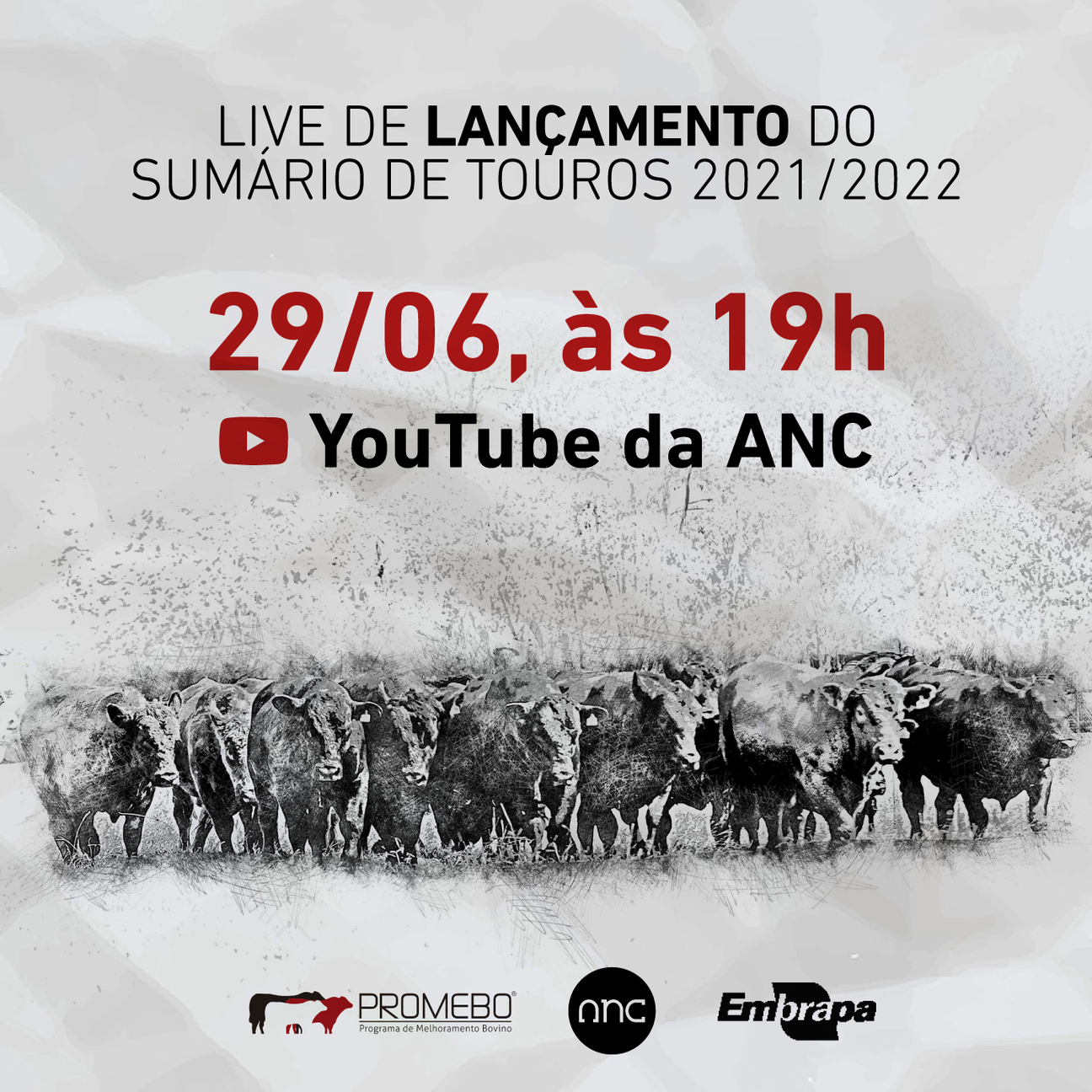 Sumário de Touros ganha versão digital - Imagem