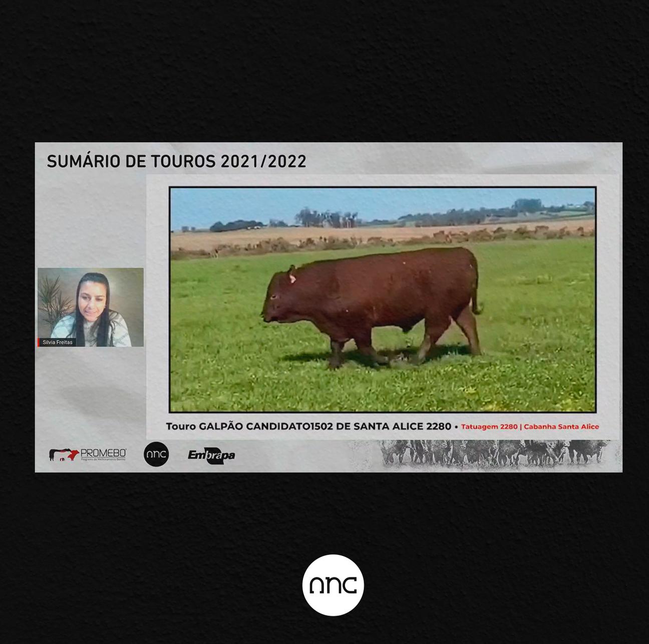 Santa Alice e Saudade vencem Supremacia Genética 2021 - Imagem